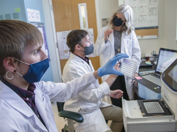 The team of third-year doctoral student Dakota Reinartz, Justin E. Wilson, PhD, and Julie E. Bauman, MD, MPH, is investigating the link between inflammation and cancer.