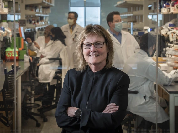 Anne E. Cress, PhD, is one of 11 founding faculty members of the UArizona Cancer Center, which has maintained an active National Cancer Institute (NCI) training grant, known as a T32, since 1978. The current grant is funding the Integrated Cancer Scholars (ICS) program.