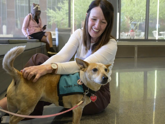 A smiling woman sits on the floor and scratches the back of a small, light-haired dog that is wearing a green harness. 