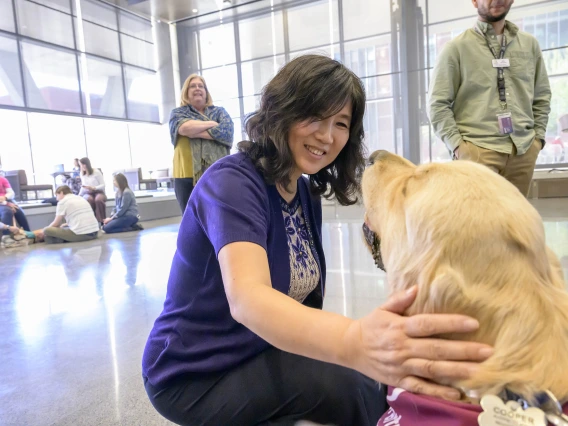 A woman squats down to pet a large golden retriever while the dog looks at her face to face. 