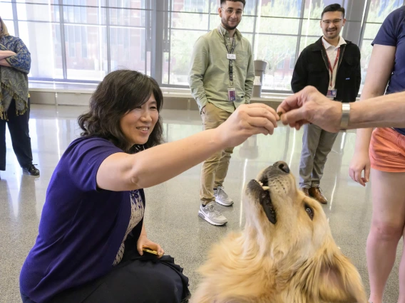 A kneeling woman reaches out to someone who is handing her a dog treat as a golden retriever looks up. 