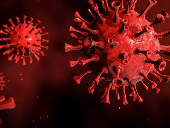 3D illustration of a red coronavirus on a red background