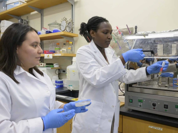 Researchers working in a laboratory 