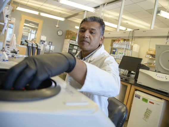 Immunologist Deepta Bhattacharya in a University of Arizona Health Sciences research laboratory