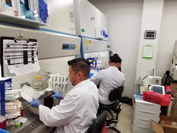 The University of Arizona Health Sciences Biorepository has secured the materials to produce 7,000 coronavirus specimen collection kits this week. Pictured are (L-R): Ryan Finnel, Ayman Sami, Simran Sahnan, Jose Camarena and Michael Badowski, PhD, lab manager for the Harris Lab (Credit: University of Arizona/David Harris).