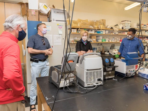 Deborah Birx, MD, coordinator of the White House Coronavirus Task Force, tours University of Arizona Health Sciences labs that are testing samples collected from students and employees for antibodies to the virus that causes COVID-19. Pictured, from left: UArizona President Robert C. Robbins, MD; Janko Nikolich-Žugich, MD, PhD, department head and professor of immunobiology; Dr. Birx; Deepta Bhattacharya, PhD, associate professor of immunobiology. Drs. Nikolich-Žugich and Bhattacharya discuss their labs’ wo