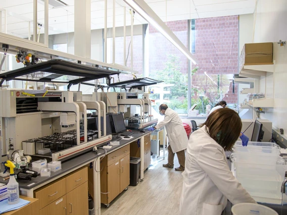 Lab workers prepare washes and buffers for the robotic test.