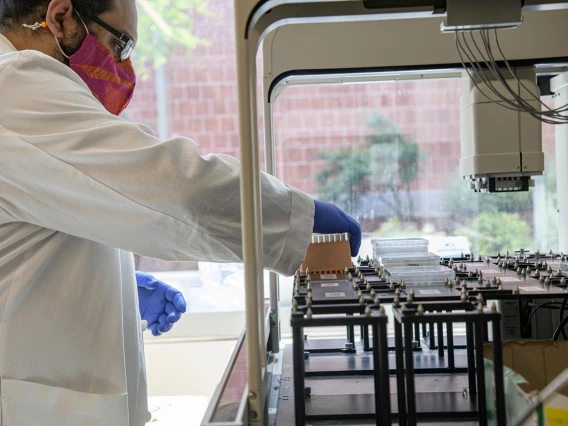 Jose Carranza, research technician in University of Arizona Genetics Core, loads a plate of serum for antibody testing onto a Biomek robot for dilution.