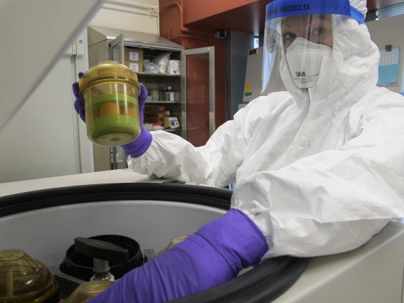 Jennifer Uhrlaub, associate research scientist and laboratory manager in the Janko Nikolich-Zugich lab, loads samples into centrifuge in the Biosafety level 3 lab in April.