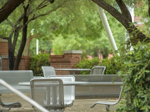 This beautiful tree-covered courtyard sits just east of BIO5 and south of Drachman Hall on the Tucson campus. It’s a favorite for outside lunches or meetings, with its tables, chairs and shade. 