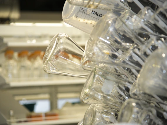 Glassware in a laboratory in the newly-expanded Skaggs Center.