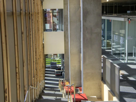 Study areas are nestled along a staircase that spans the east side of the building, making it easy to find a place to work alone or with a small group, aided by plenty of natural light.