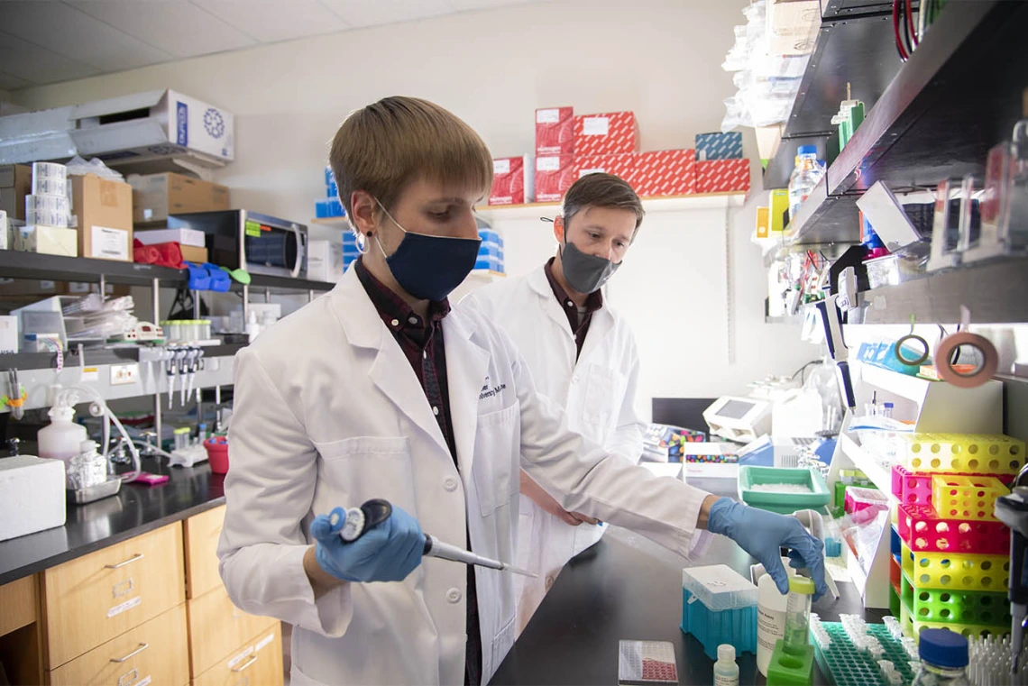 Doctoral student Dakota Reinartz and Justin E. Wilson, PhD, are on a quest to understand how inflammation plays a role in the development and spread of certain head-and-neck cancers.