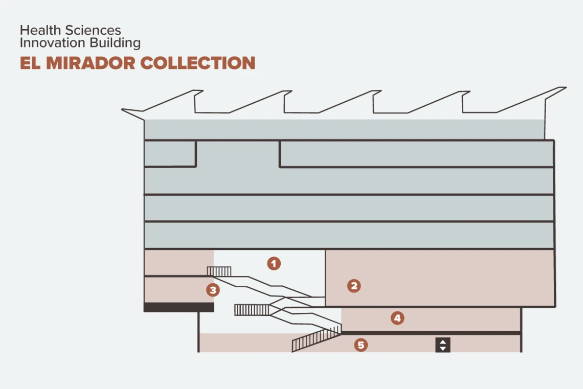 A cross section of the Health Sciences Innovation Building showing the location of various pieces of art with numbers.