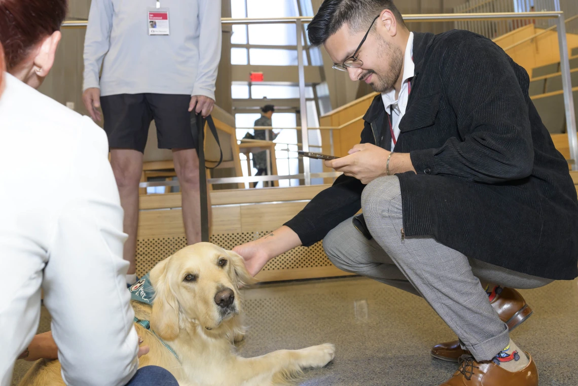 A man in a sport coat squats down to pet a golden retriever. 