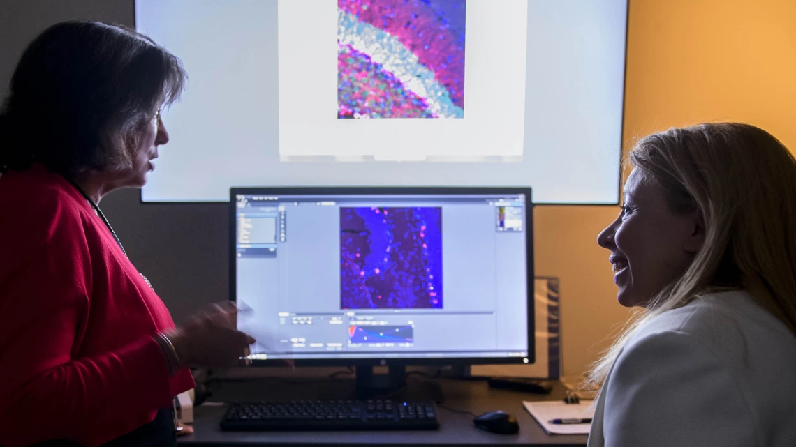 (From left) University of Arizona Health Sciences researchers Roberta Diaz Brinton, PhD, and Nahla Zaghloul, MD, are investigating the long-term safety and efficacy of allopregnanolone as a regenerative therapeutic for Alzheimer's disease and cerebral palsy.