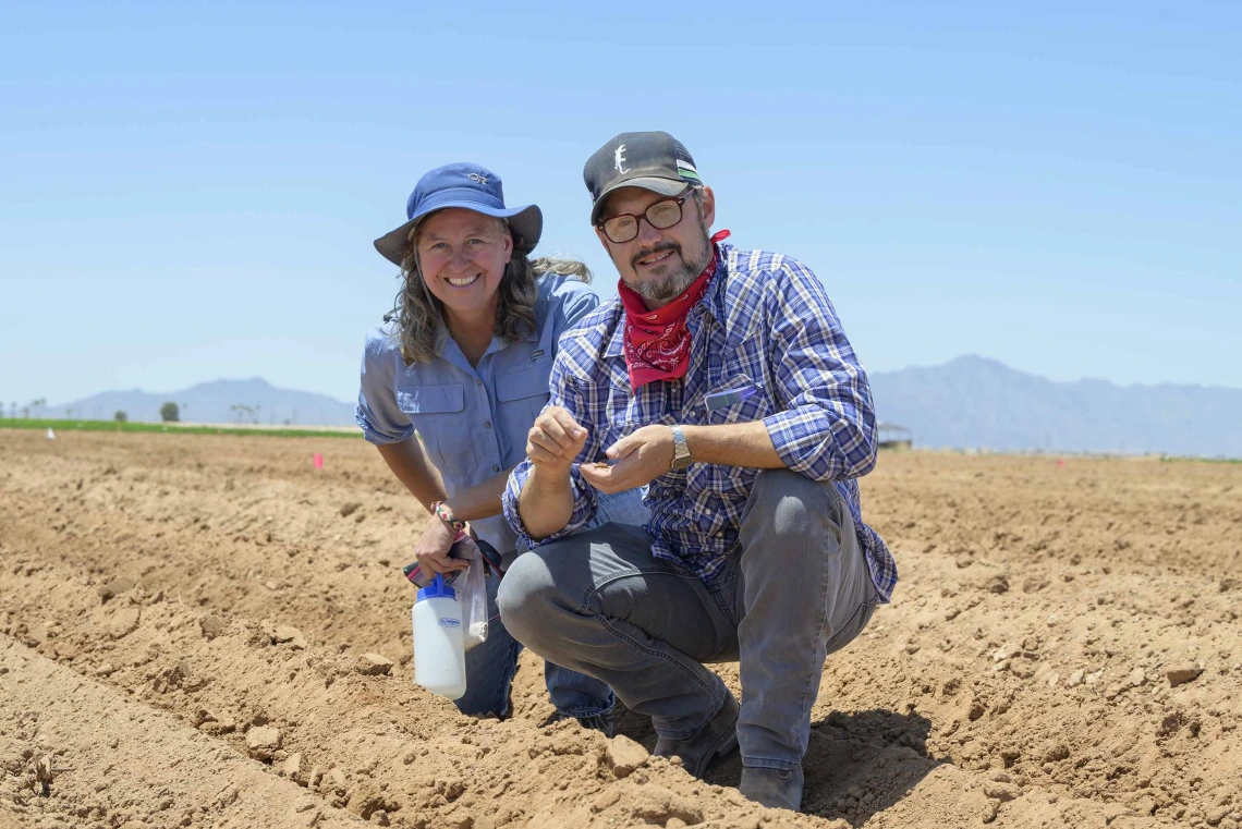 Two researchers crouching near a row of freshly tilled dirt in an agricultural field