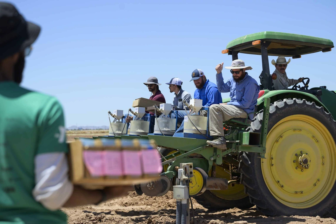 five people on a tractor prepare to plant tepary beans