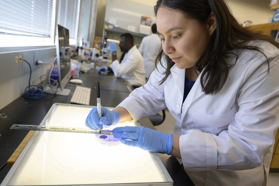 Researcher examining a petri dish