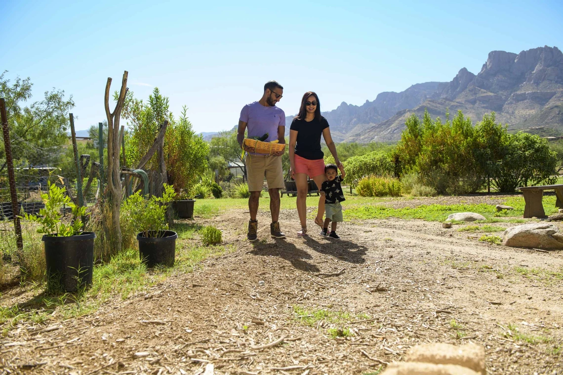 A family of three walks outdoors in a green desert environment with mountains in the background.