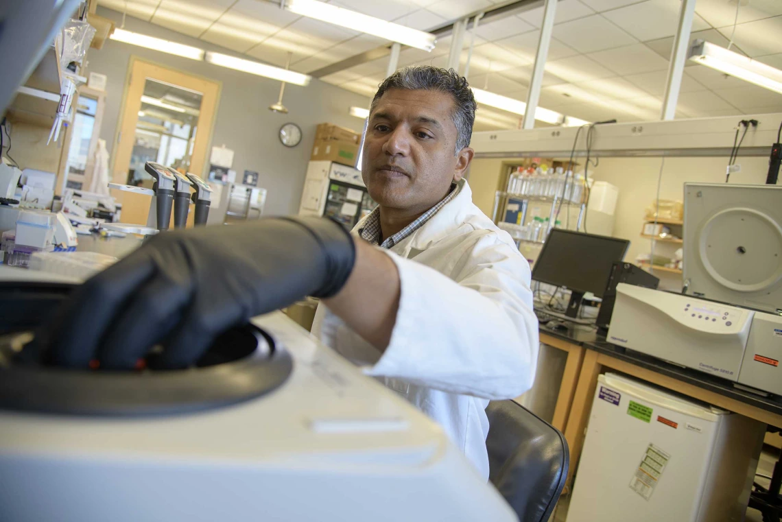 Immunologist Deepta Bhattacharya in a University of Arizona Health Sciences research laboratory