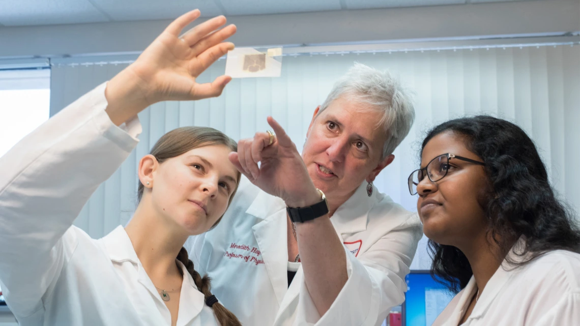 Research by Meredith Hay, PhD (center), professor of physiology, is using a $5.7 million NIH grant to develop a therapeutic drug for vascular cognitive impairment and vascular dementia.