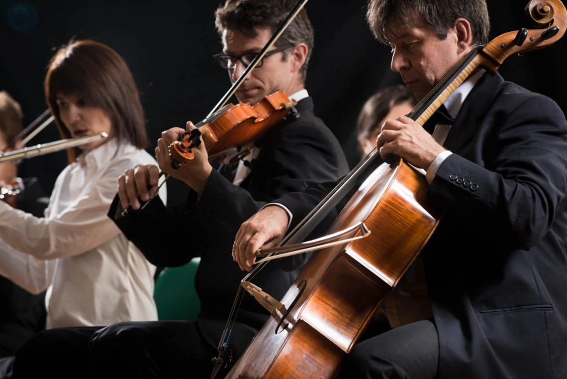 Orchestra performance