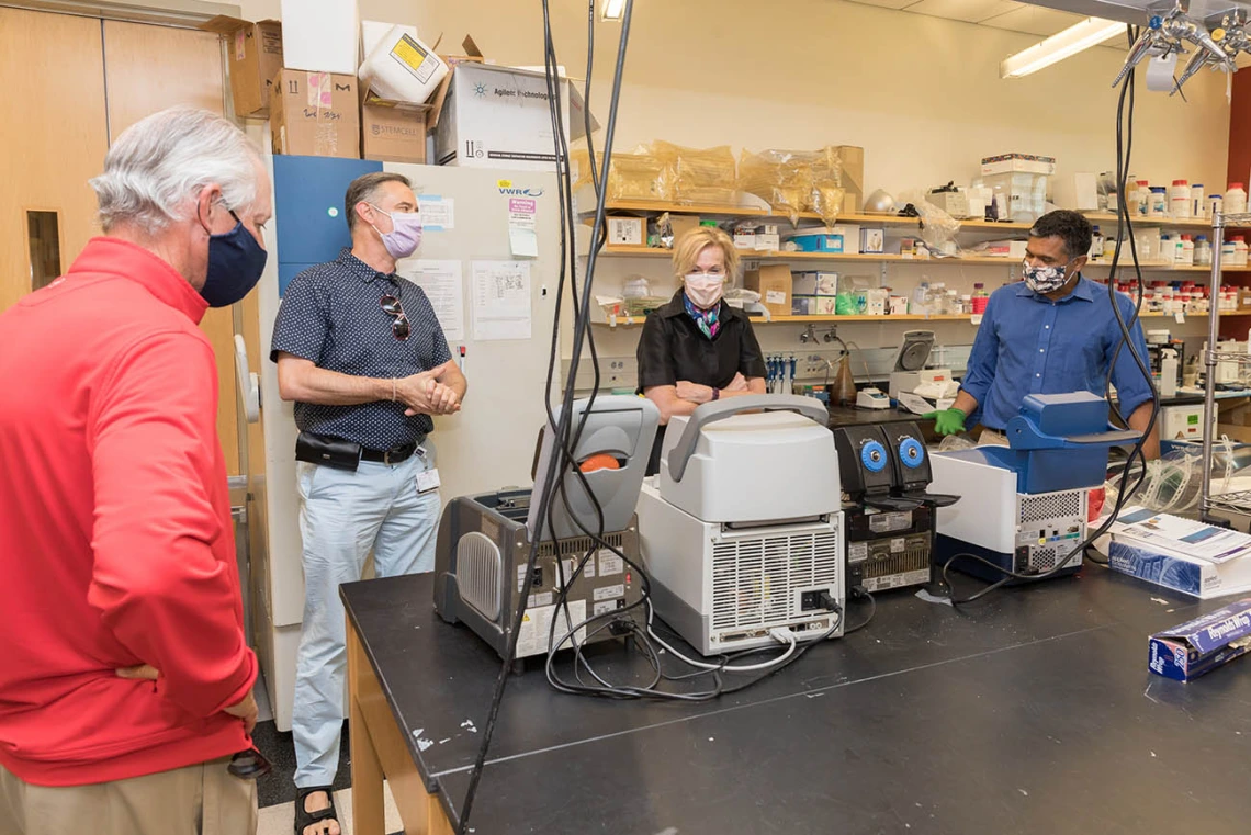 Deborah Birx, MD, coordinator of the White House Coronavirus Task Force, tours University of Arizona Health Sciences labs that are testing samples collected from students and employees for antibodies to the virus that causes COVID-19. Pictured, from left: UArizona President Robert C. Robbins, MD; Janko Nikolich-Žugich, MD, PhD, department head and professor of immunobiology; Dr. Birx; Deepta Bhattacharya, PhD, associate professor of immunobiology. Drs. Nikolich-Žugich and Bhattacharya discuss their labs’ wo