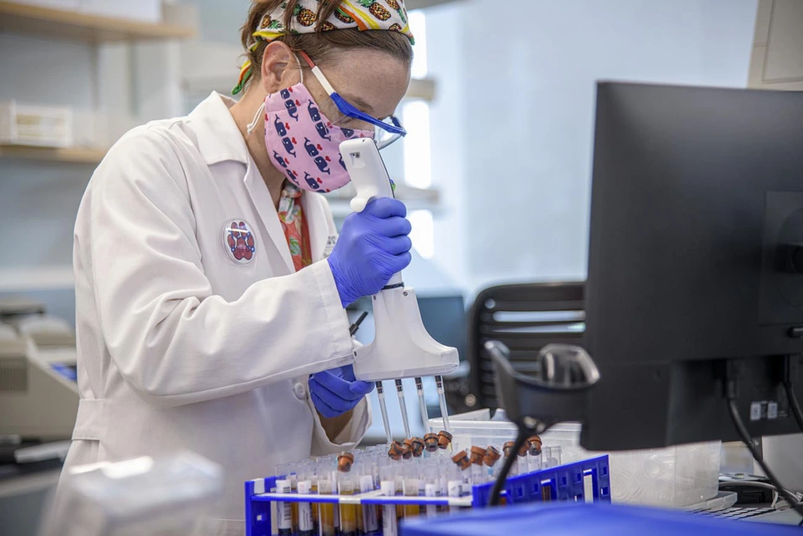 Barbara Fransway, manager of University of Arizona Genetics Core Research Services, transfers blood serum into testing plates.