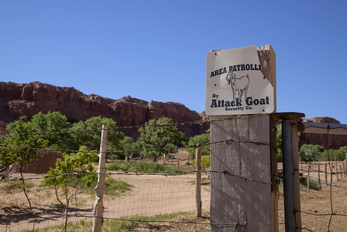 The rural Navajo Nation has been hit hard by the COVID-19 pandemic, and several University of Arizona Health Sciences efforts have gathered food, cleaning supplies and medical equipment to support efforts to contain the outbreak in northern Arizona.