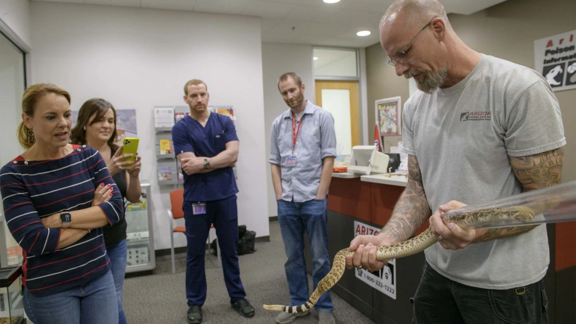 Erika Grasse (front left) keeps her distance as venomous reptile curator Dan Massey, PharmD, BCPS, shows her how to identify a Western Diamondback rattlesnake at the Arizona Poison and Drug Information Center (AzPDIC) located in the College of Pharmacy. 