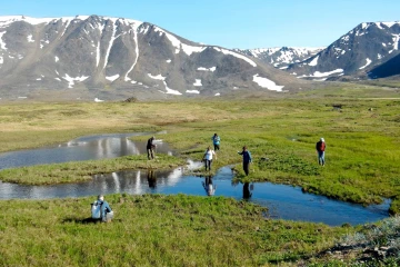 Researchers sampling stickleback fish at a small body of water on St. Lawrence Island