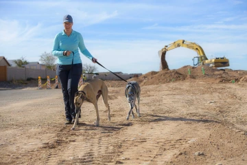 A woman walking two dogs near a construction site