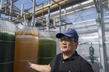 Biosystems engineering professor Dr. Joel Cuello standing in front of and gesturing back toward three bioreactors growing spirulina