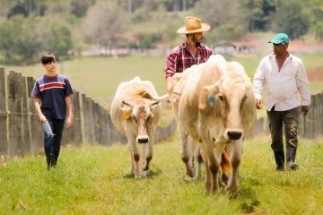 The impact of water quality, environmental challenges and zoonotic diseases inform One Health research. 