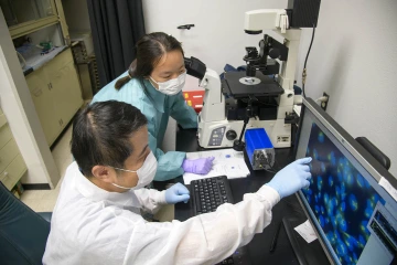 Yin Chen, PhD, points to an image of magnified virus-infected cells in his lab.