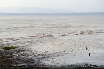 Studying the environmental effects of climate change in arid climates, where nearly 30% of the world’s populations lives, is a priority for UArizona researchers.   