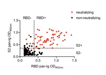 The high level of accuracy of the Health Sciences antibody test is shown by the lone black dot in the RBD+/S2+ region of this scatter plot. It represents the single false positive result that was identified during the study.