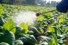 Pesticide being sprayed on a crop