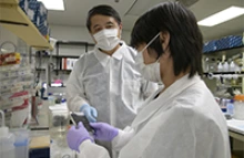 Yin Chen, PhD, teaches a research scientist to analyze cellular proteins from samples. (Photo: Kris Hanning/University of Arizona Health Sciences)