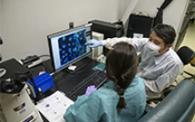 Yin Chen, PhD, points to an image of magnified virus-infected cells in his lab. (Photo: Kris Hanning/University of Arizona Health Sciences)