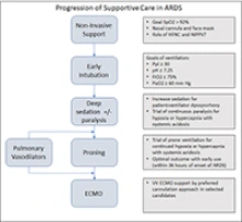 A graphic from the ASAIO Journal/ Circulation: Heart Failure paper of care procedures in cases of patients suffering acute respiratory distress syndrome (ARDS). Click to view. (Courtesy of American Society for Artificial Internal Organs)